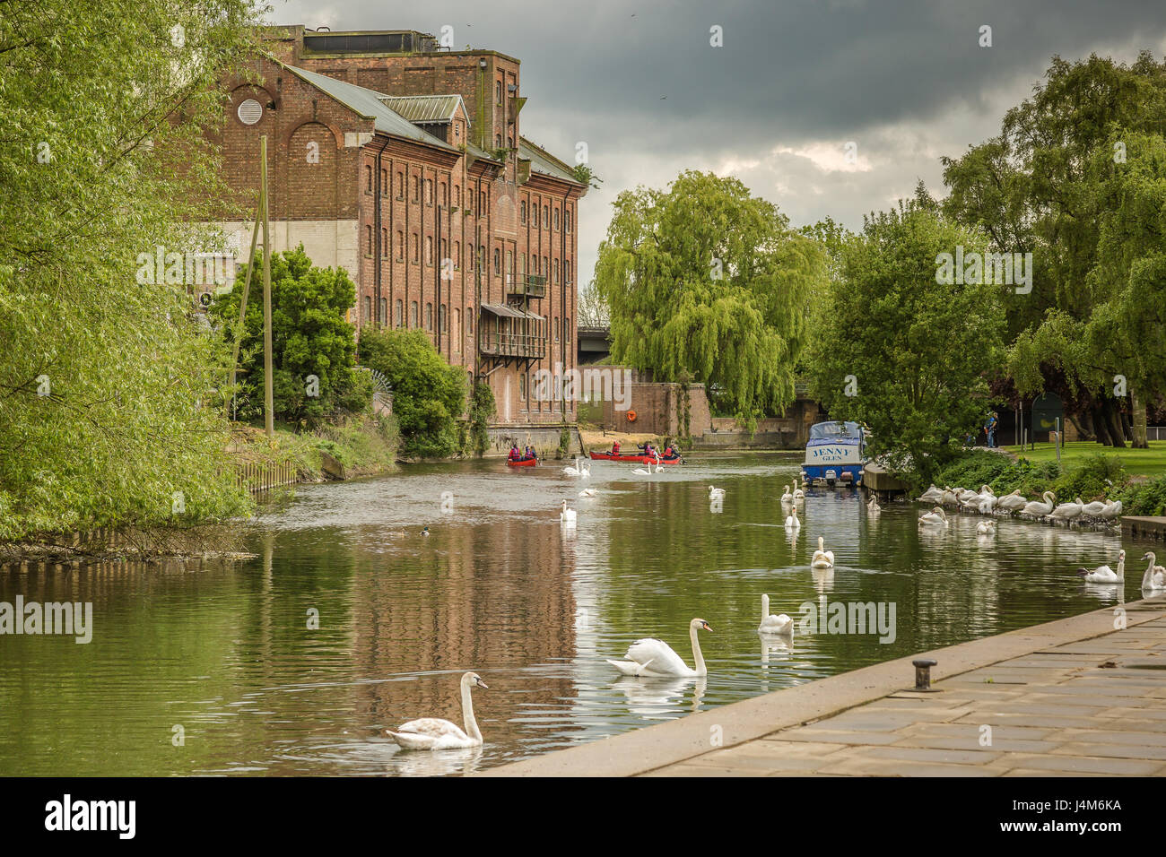 Whitworths Mühle am Fluss Nene in Wellingborough Stockfoto