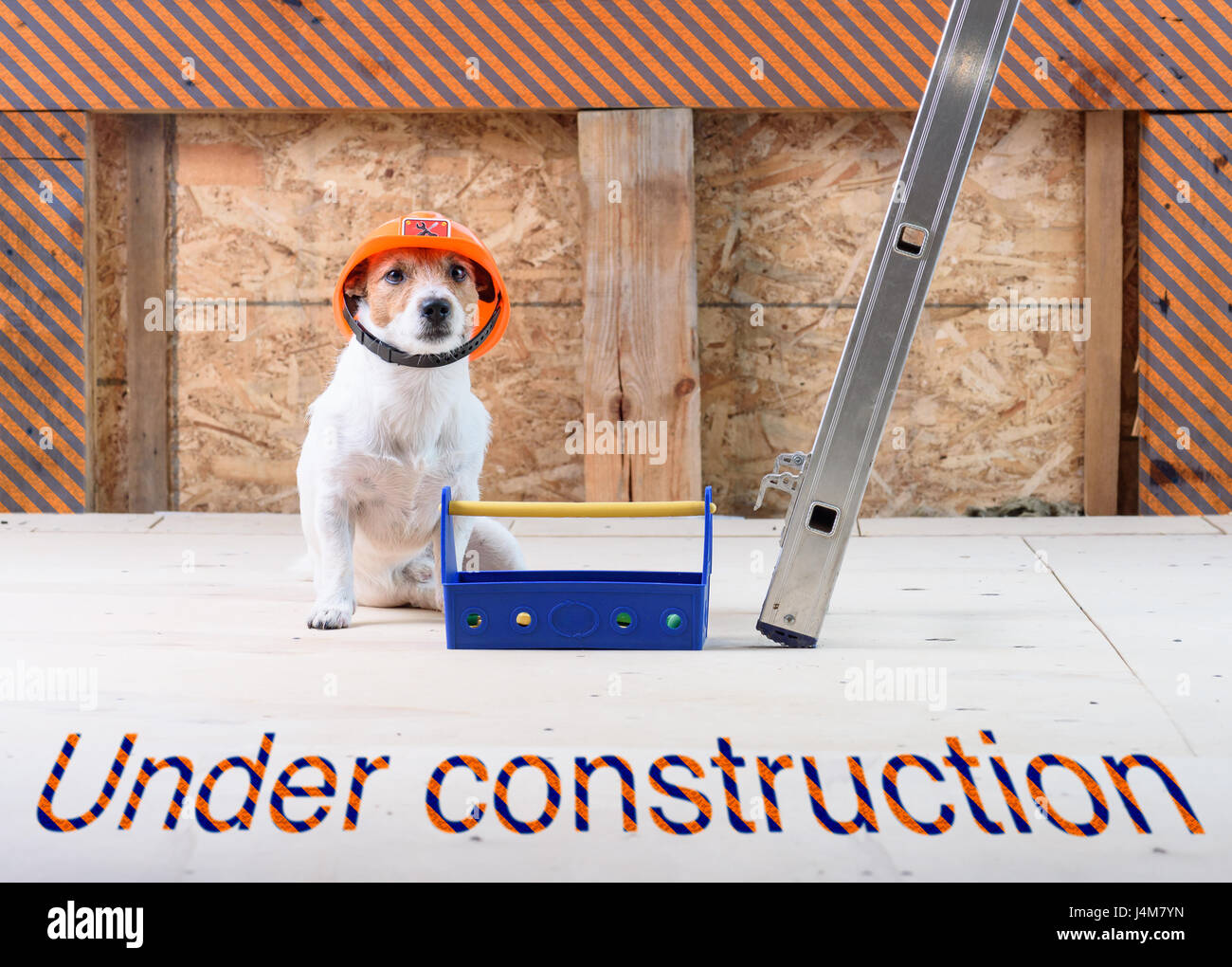 Unter Constraction Site mit Hund als lustige Baumeister Schutzhelm tragen Stockfoto
