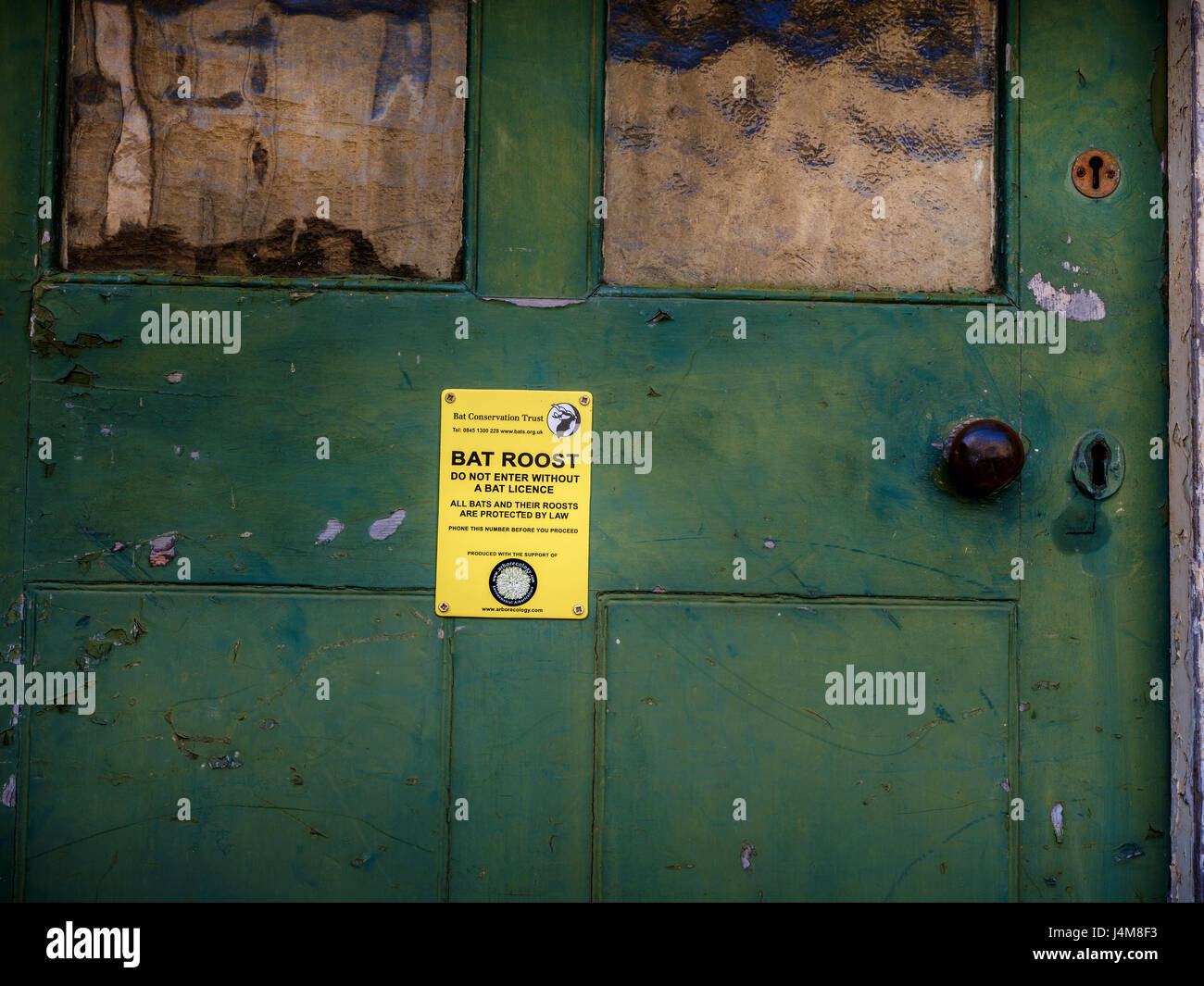 Eine Fledermaus Roost Warnschild an einer alten Tür Warnung Besucher nicht zu betreten, es sei denn, sie Bat Lizenzinhaber sind angebracht. Stockfoto