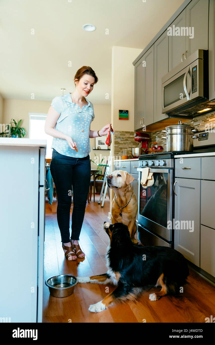 Frau Ausbildung Hunde in der heimischen Küche Stockfoto