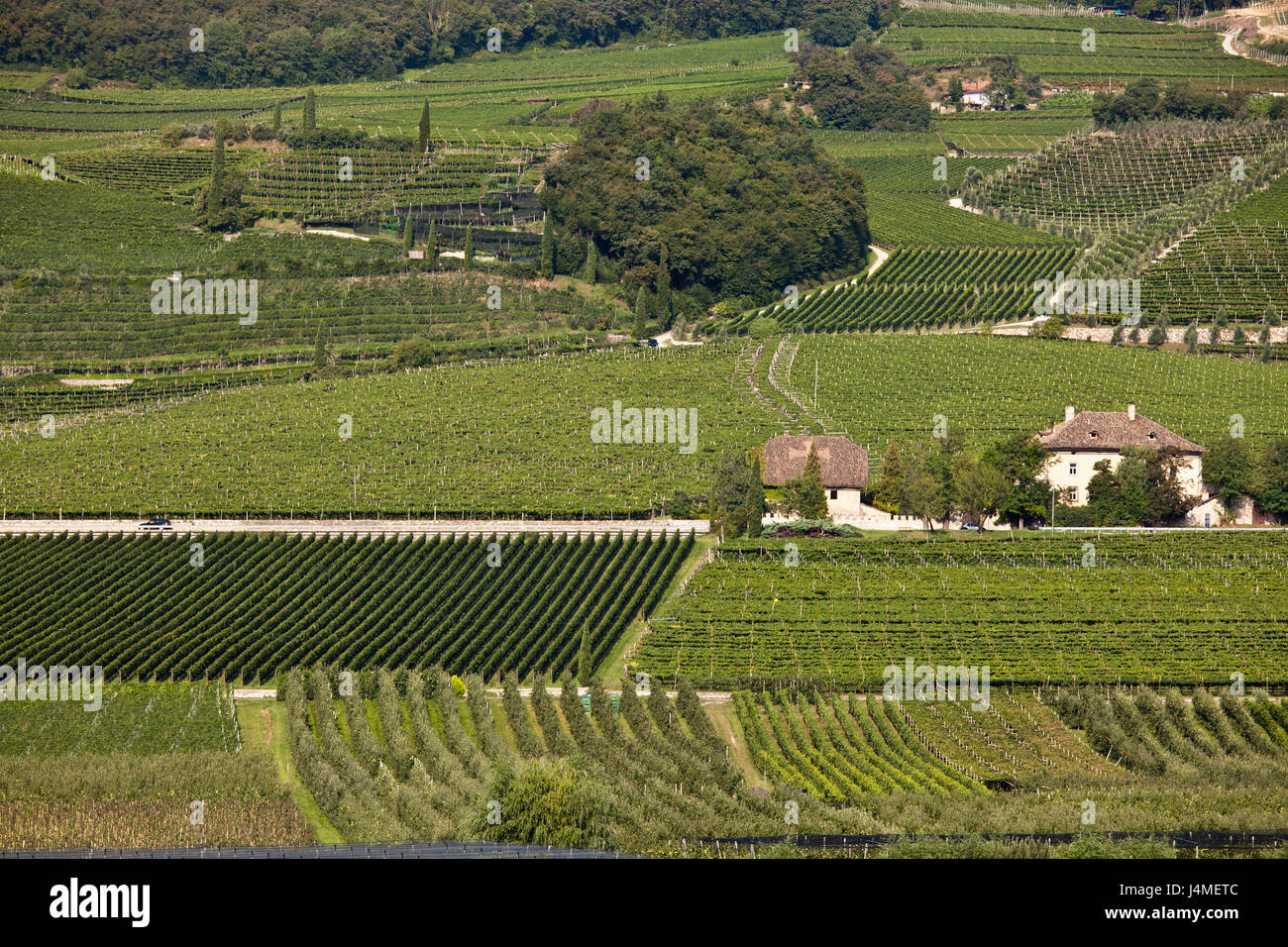 Luftaufnahme des Weinlandes Stockfoto