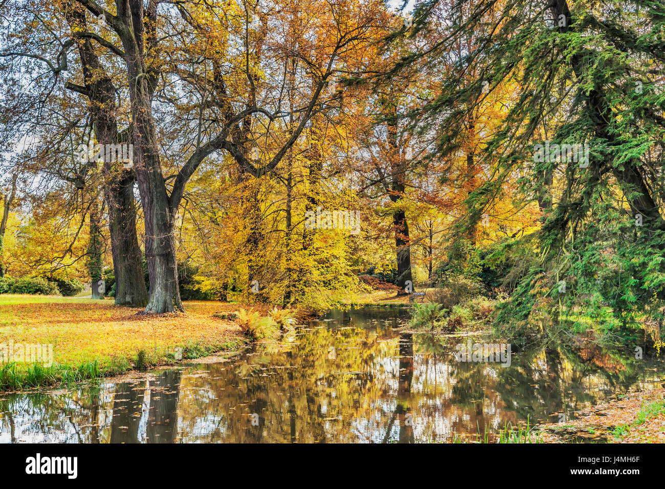 Fuerst Pueckler Park in Bad Muskau im Herbst. Seit 2004 gehört der Park zum UNESCO-Weltkulturerbe, Sachsen, Deutschland, Europa Stockfoto