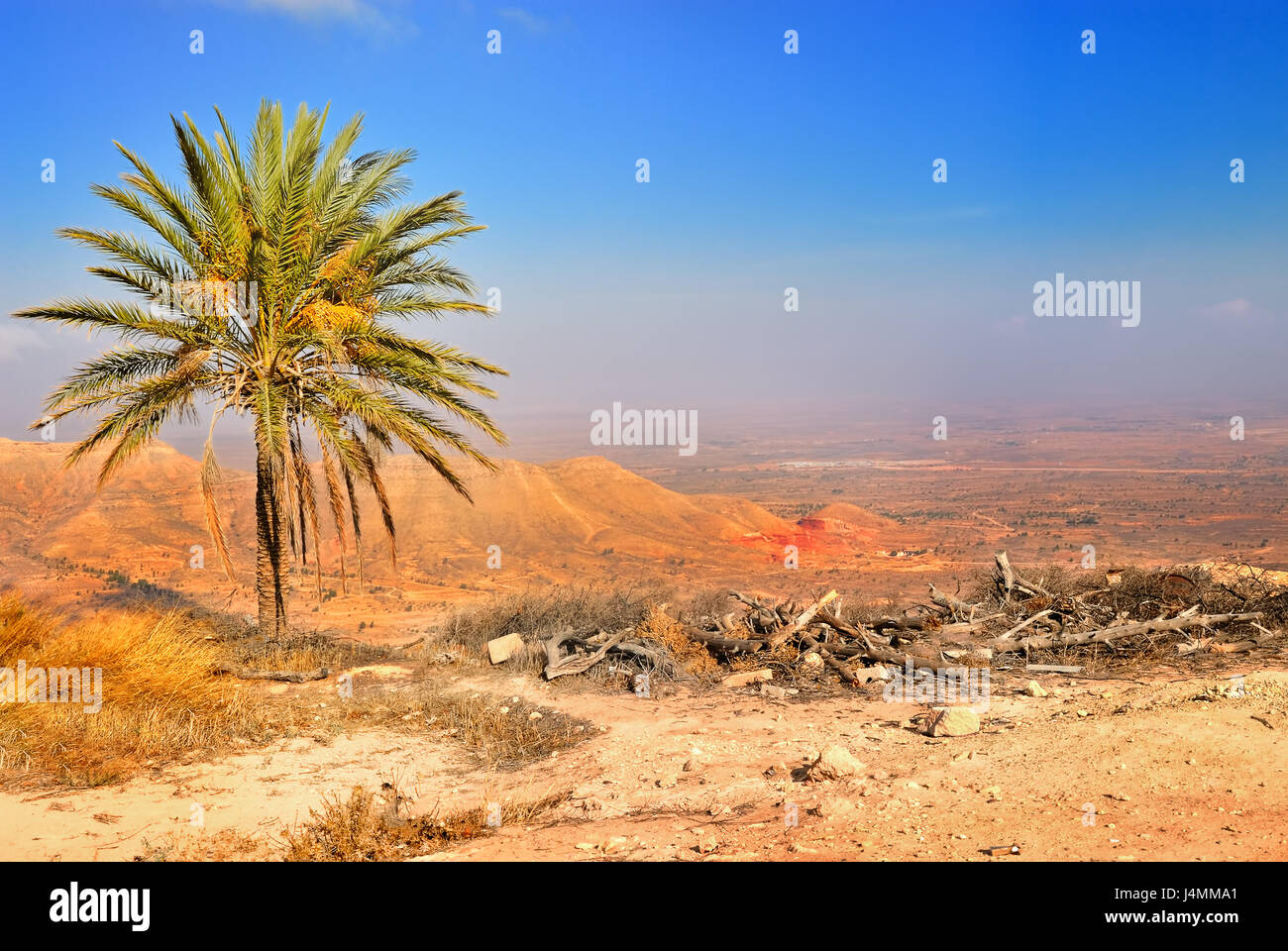 Panorama von einem Tal in Gharyan, Libyen. Libysche Wüste Stockfoto Panorama von einem Tal in Gharyan, Libyen. Libysche Wüste Stockfoto