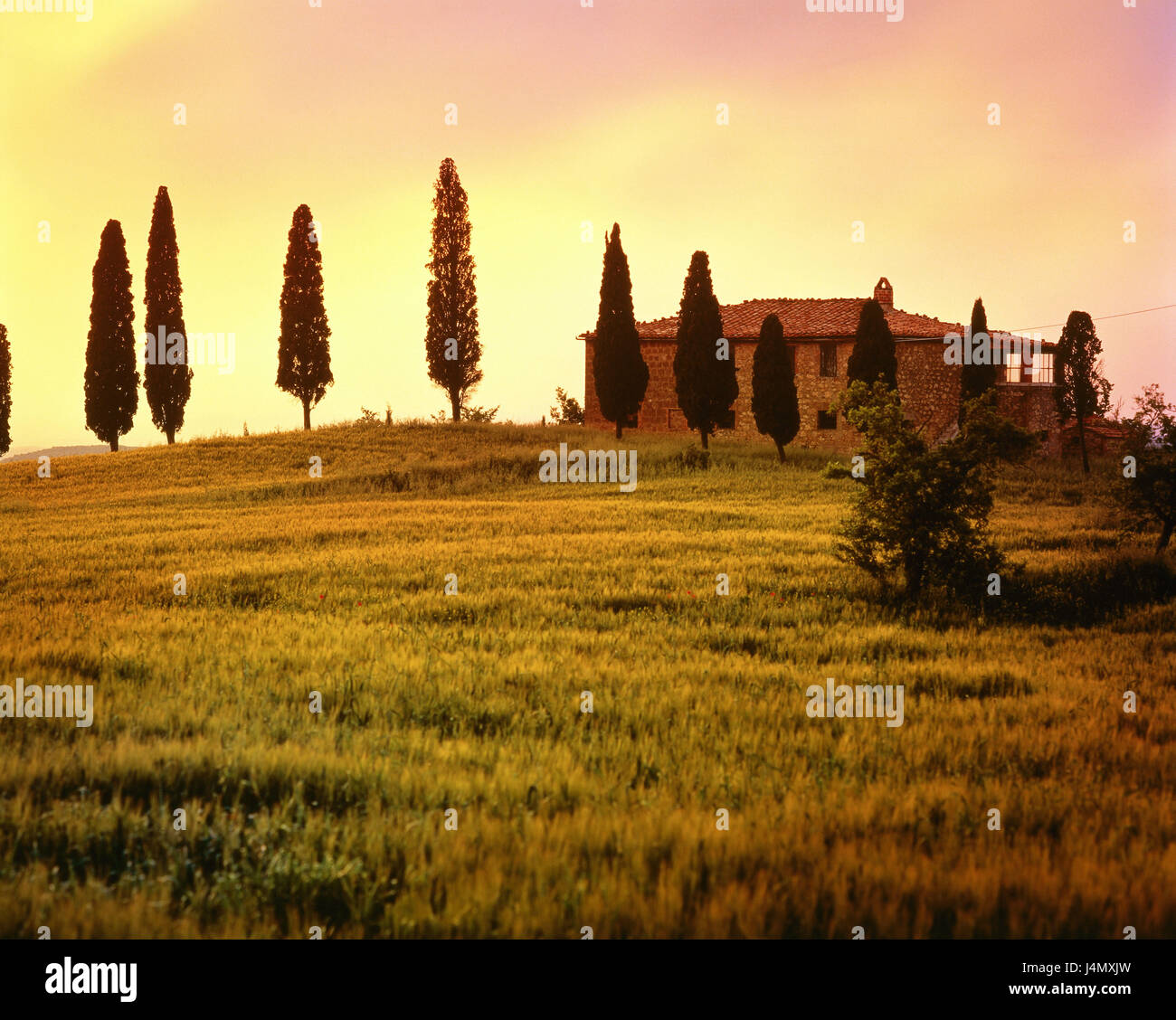 Italien, Toskana, Hügel, Haus, Zypressen, nahe Pienza, Abend Stimmung, Landschaft, Natur, ländlich, einzeln, aus der Ferne, in der Regel Tuscany Landschaft, Gebäude, Wohnhaus, Bauernhof, Bäume, niemand, Feld, Felder, Korn, Getreidefeld, Anbau von Getreide, Getreide, Himmel, Wolken, Dämmerung, Dämmerung, Sonnenuntergang, Abendlicht, tuning, Abend, Einsamkeit, Idylle, Ruhe, Erholung, Urlaub, Abgeschiedenheit, atmosphärisch, romantisch, BT, Stockfoto