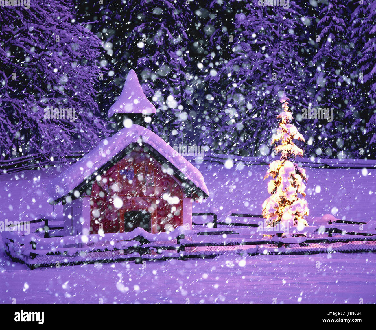 Deutschland, Bayern, Garmisch-Partenkirchen, Band, Weihnachtsbaum, Schneefall, Abend, Süddeutschland, Oberbayern, Saison, Winter, winterliche, Schnee, sind schneit, mit Schnee bedeckten, für Weihnachten, Yule Flut, Leuchten, Beleuchtung, Beleuchtung, atmosphärisch, Weihnachten Stockfoto