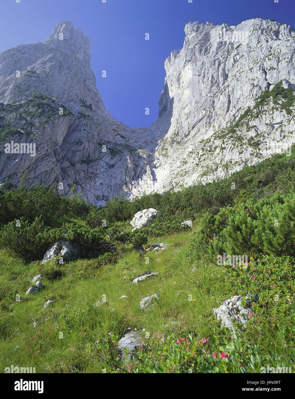 Österreich, Tirol, Dorf Kirch, Berglandschaft, Landschaft, Berge, Berge, Natur, des Kaisers Bach Tal, Stripsenjoch, Predigt-Stuhl, Metzgerei Stall, Wiese, Himmel, sonnig, wolkenlos, Stockfoto