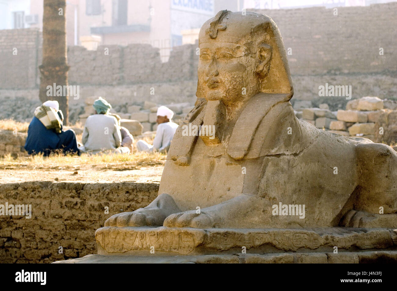 Ägypten, Nil Senke, Luxor, Luxor-Tempel, Sphinx, Männer, Stockfoto