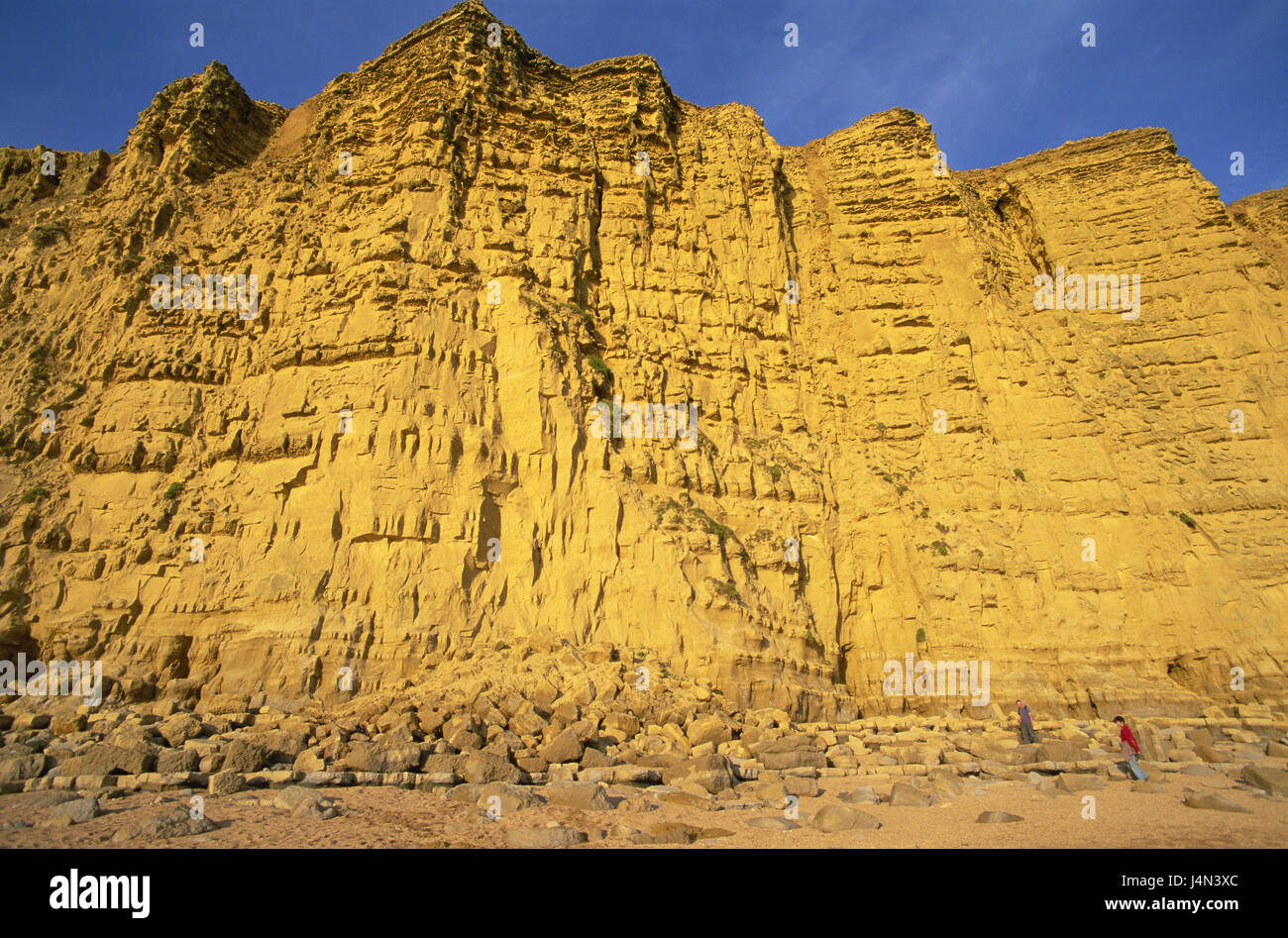 Großbritannien, England, Dorset, West Bay, Klippen, Detail, Stockfoto