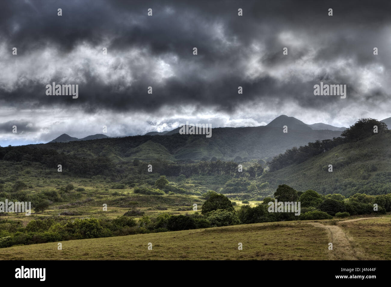 Die USA, Hawaii, Hana Ranch, Stockfoto