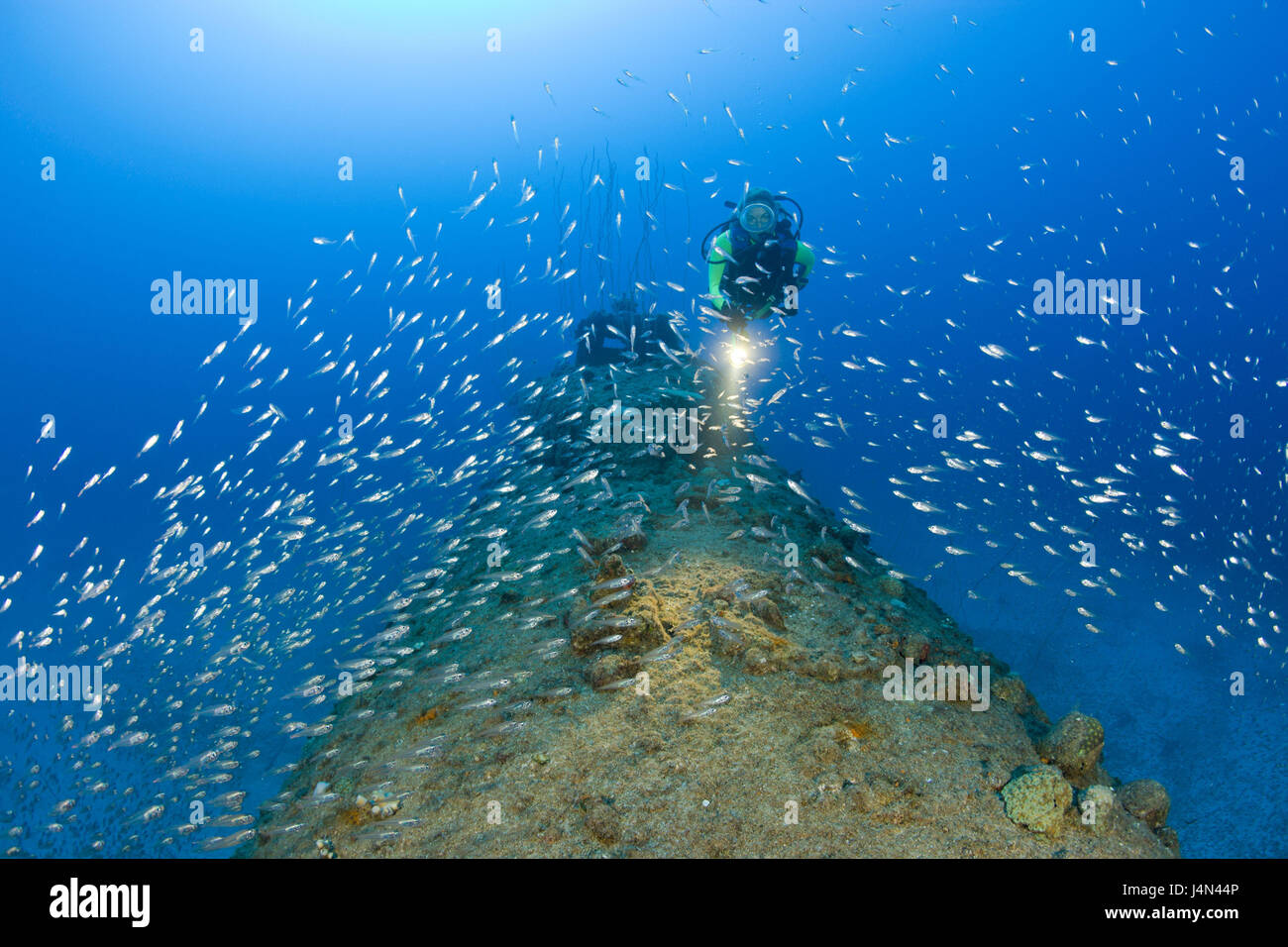 Taucher, u-Boot-Wrack, USS Apogon, Stockfoto