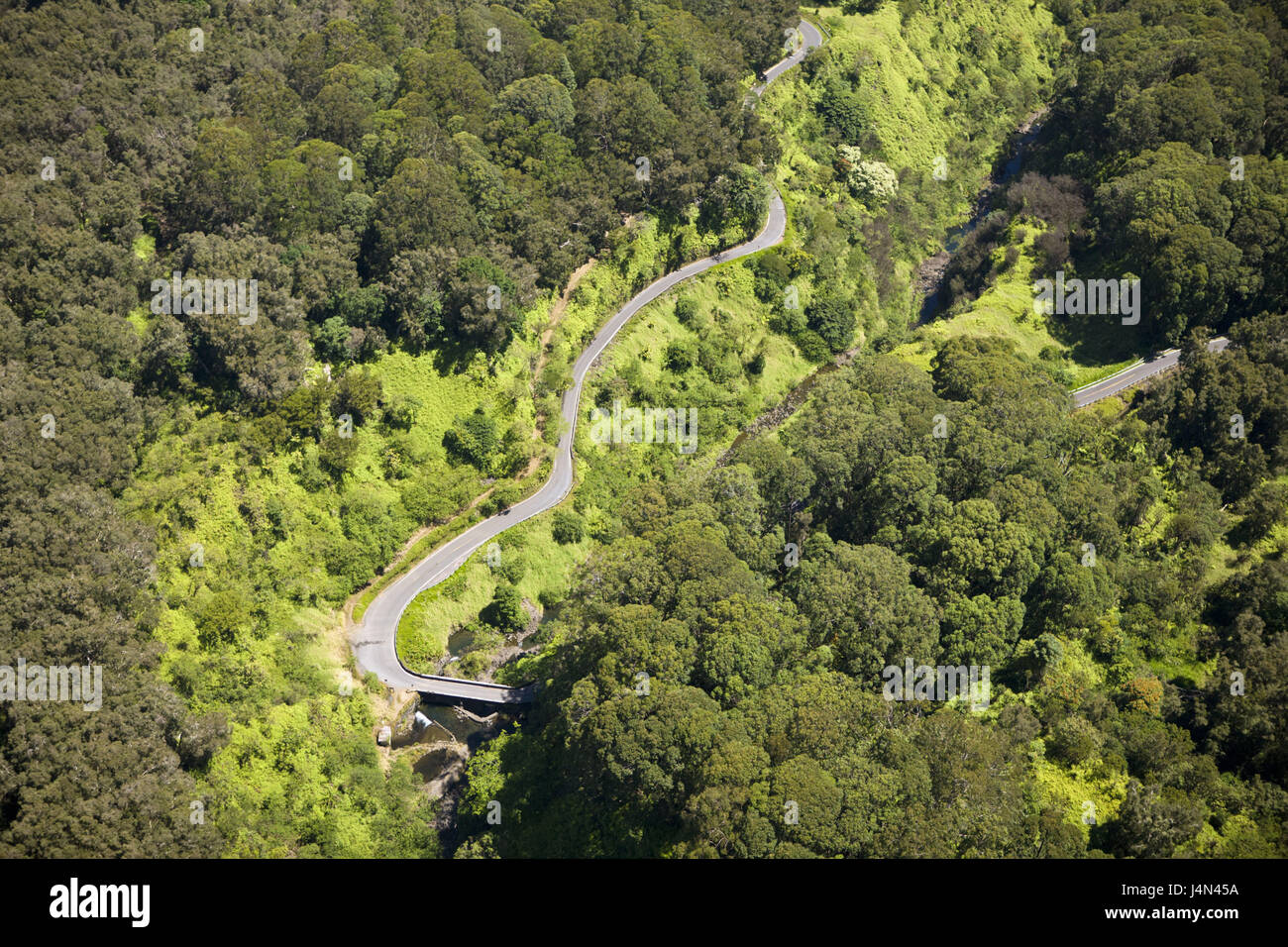 Die USA, Hawaii, Straße nach Hana, Stockfoto