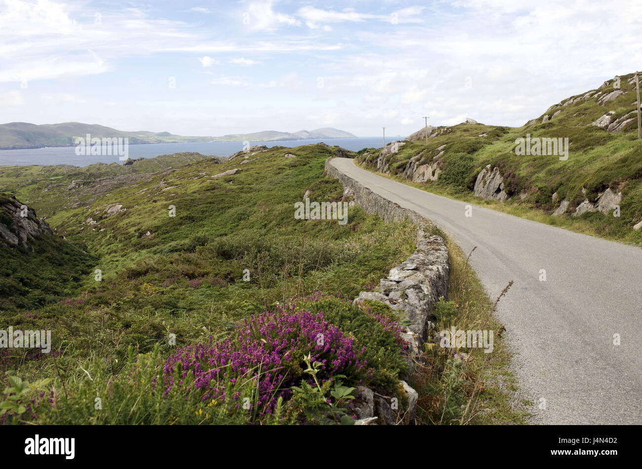 Munster, Irland Cork county, Beara Halbinsel, Straße, Stockfoto