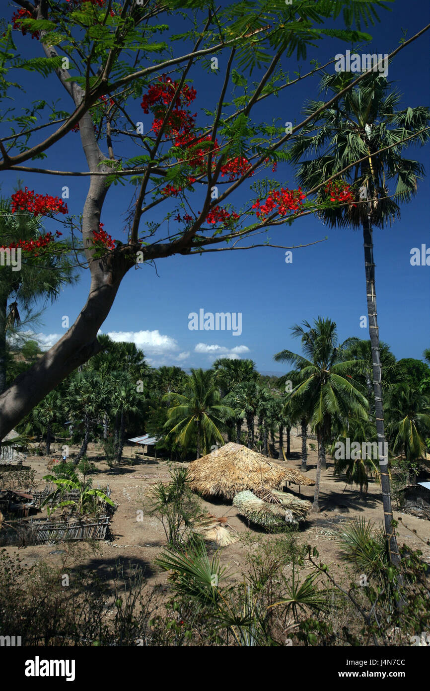 Demokratische Republik Timor-Leste, Roca, Bauerndorf, Stockfoto