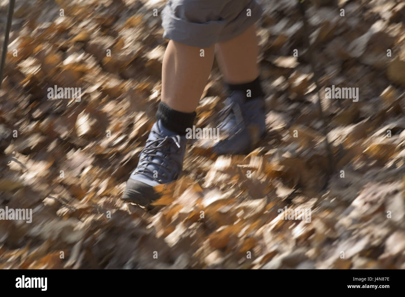 Italien, Wanderer, laufen, Herbstlaub, mittlere Nahaufnahme Stockfoto