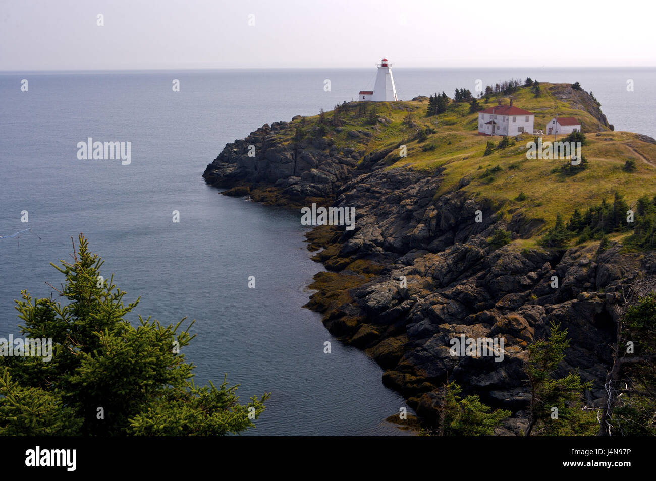 Leuchtturm Schwalbenschwanz, Norden Kopf, Grand Manan Island, New Brunswick, Kanada, Stockfoto