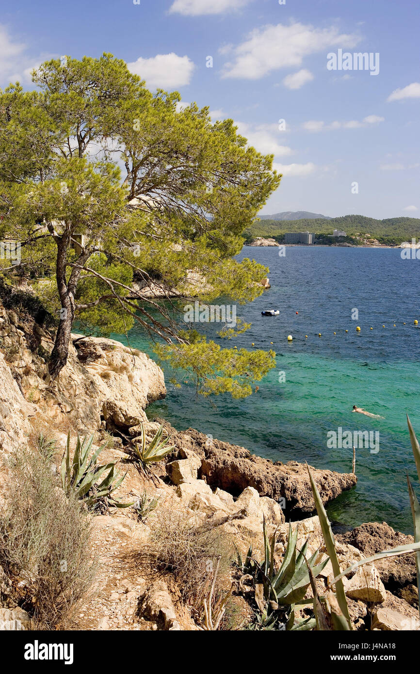 Spanien, Mallorca, Cala Fornells, Meer, Küste, Bucht, Insel, Balearen, Balearen Insel, Ferieninsel, die Ferieninsel, Mittelmeer, Mittelmeer-Insel, Felsen, Bäume, Frau, Schwimmen, Stockfoto