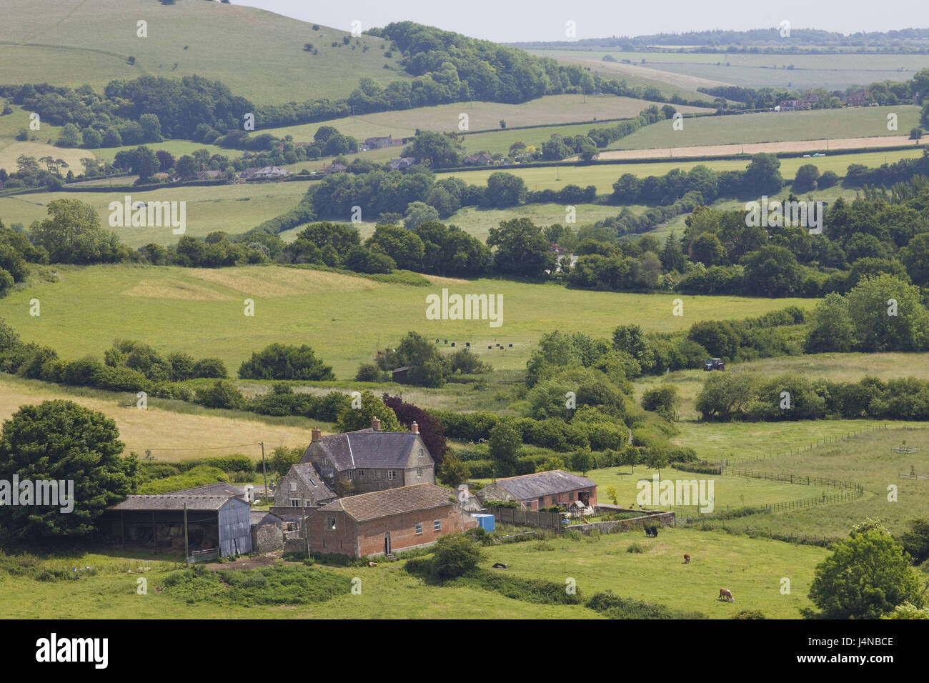 Großbritannien, England, Dorset, Landschaft, Bauernhof, Stockfoto