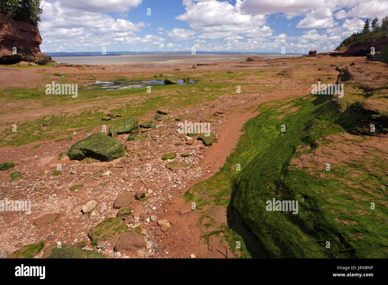 Küstenlandschaft, Ebbe, Burncoat, Minas Basin, Cobequid Bay, Nova Scotia, Kanada Stockfoto