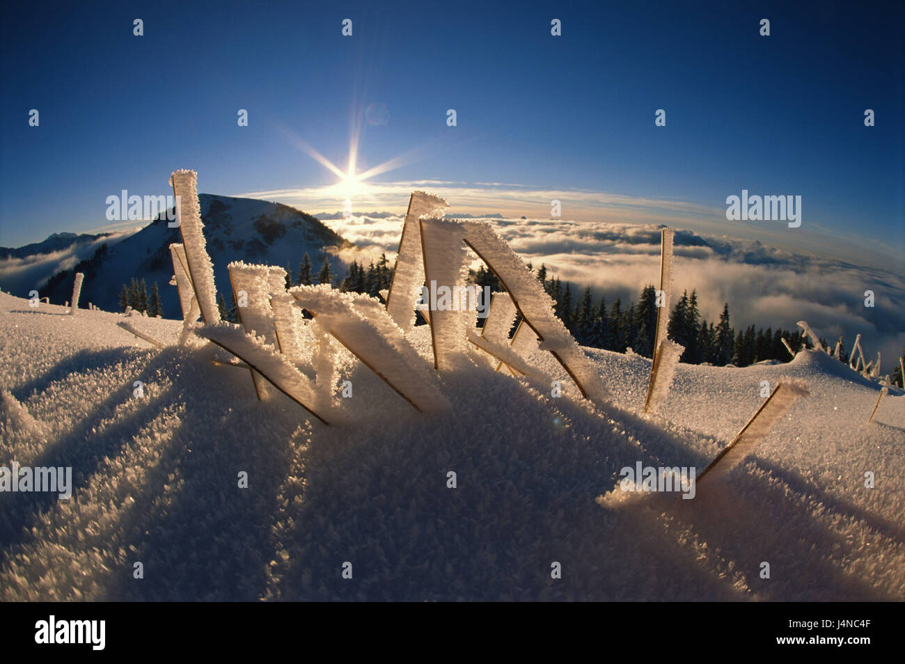 Deutschland, Bayern, Böschung Berg, Rasen, Schnee, Frost, morgen tuning, Berglandschaft Stockfoto