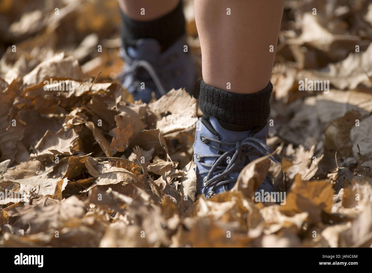 Italien, Wanderer, laufen, Herbstlaub, mittlere Nahaufnahme Stockfoto