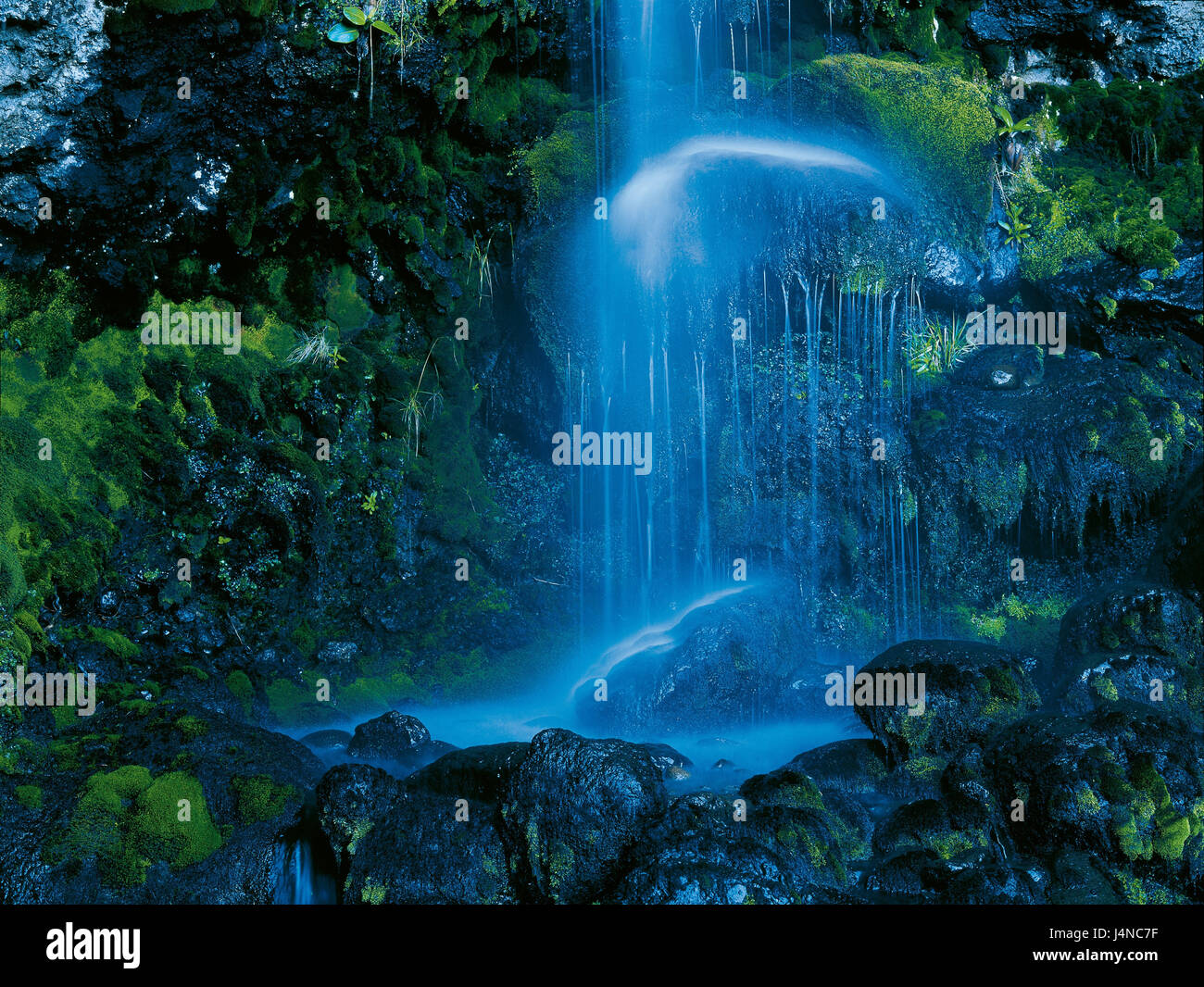 Tansania, Wasserfall, Rock, Moose, Wasser, Fluss, Natur Stockfoto