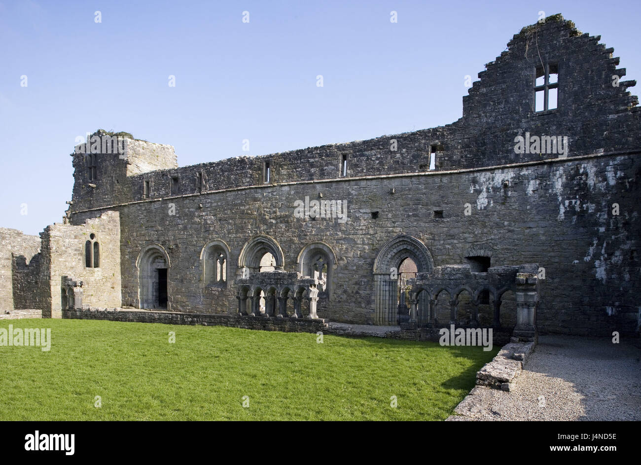 Irland, Westküste, County Galway, Cong Abbey, Stockfoto