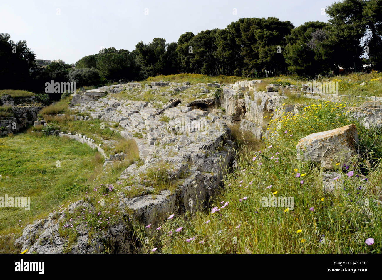 Italien, Sizilien, Syrakus, archäologischer Park, römische Amphitheater, Stockfoto