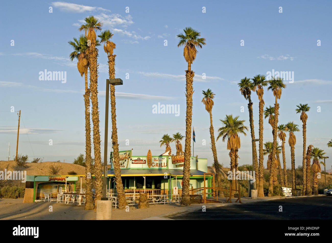 USA, Arizona, Sole Havasu City, Palm Beach, Stockfoto