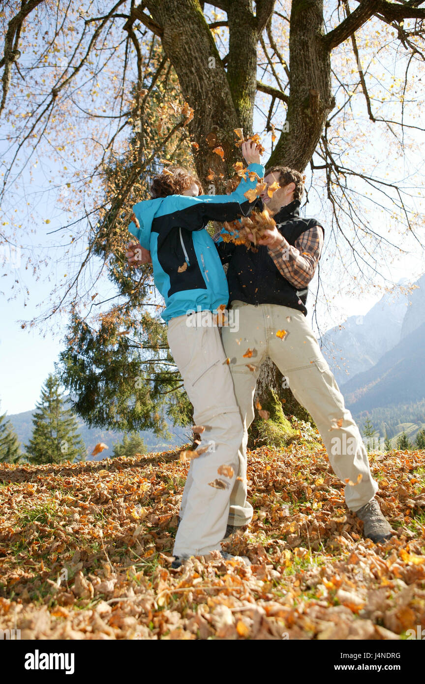 Paar, Holz, Herbst, Blätter, werfen, glücklich, geschmolzen, Stockfoto