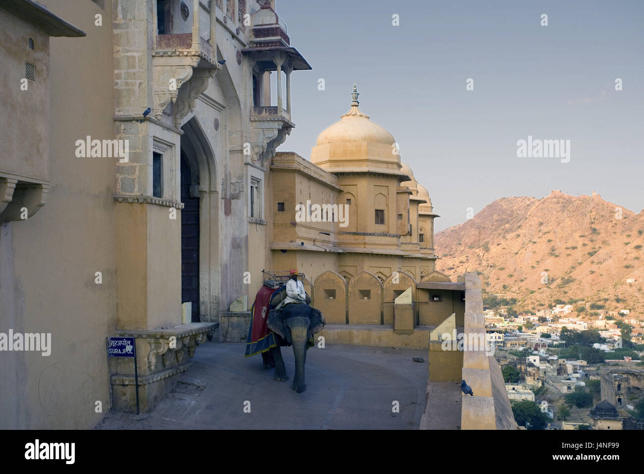 Indien, Jaipur, Rajasthan, Ambra Fort, Mann, Elefanten reiten, Stockfoto