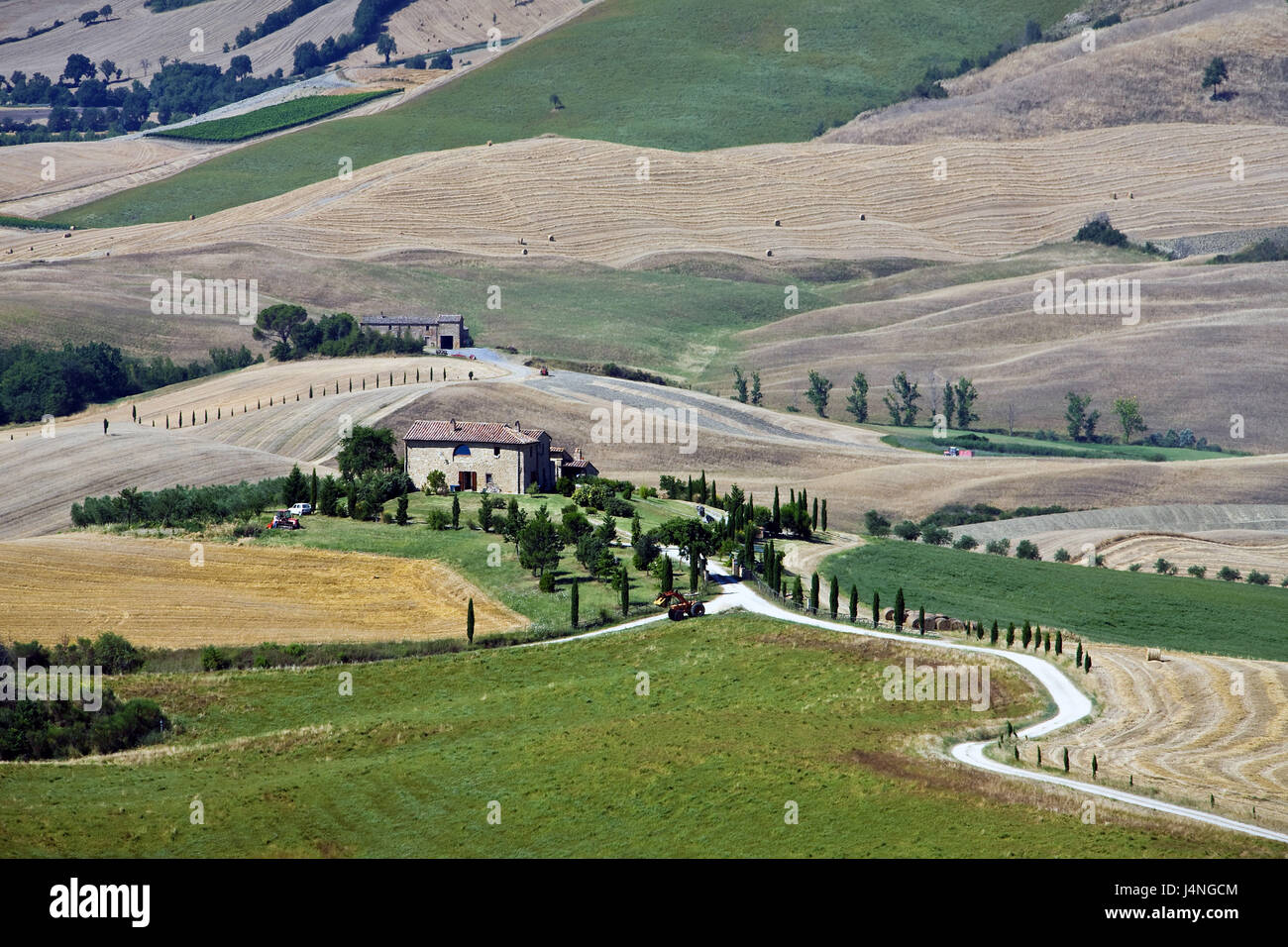 Italien, Toskana, Hügellandschaft, Felder, Weg, Haus, Stockfoto