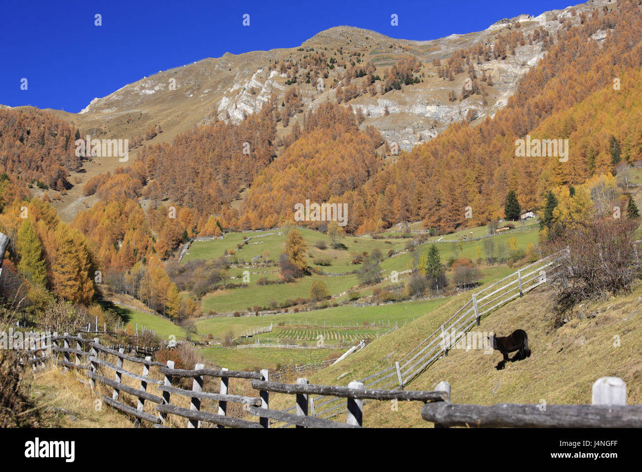 Italien, Südtirol, Vinschgau, Martelltal, Nationalpark Stilfser Col, Martell, Stockfoto