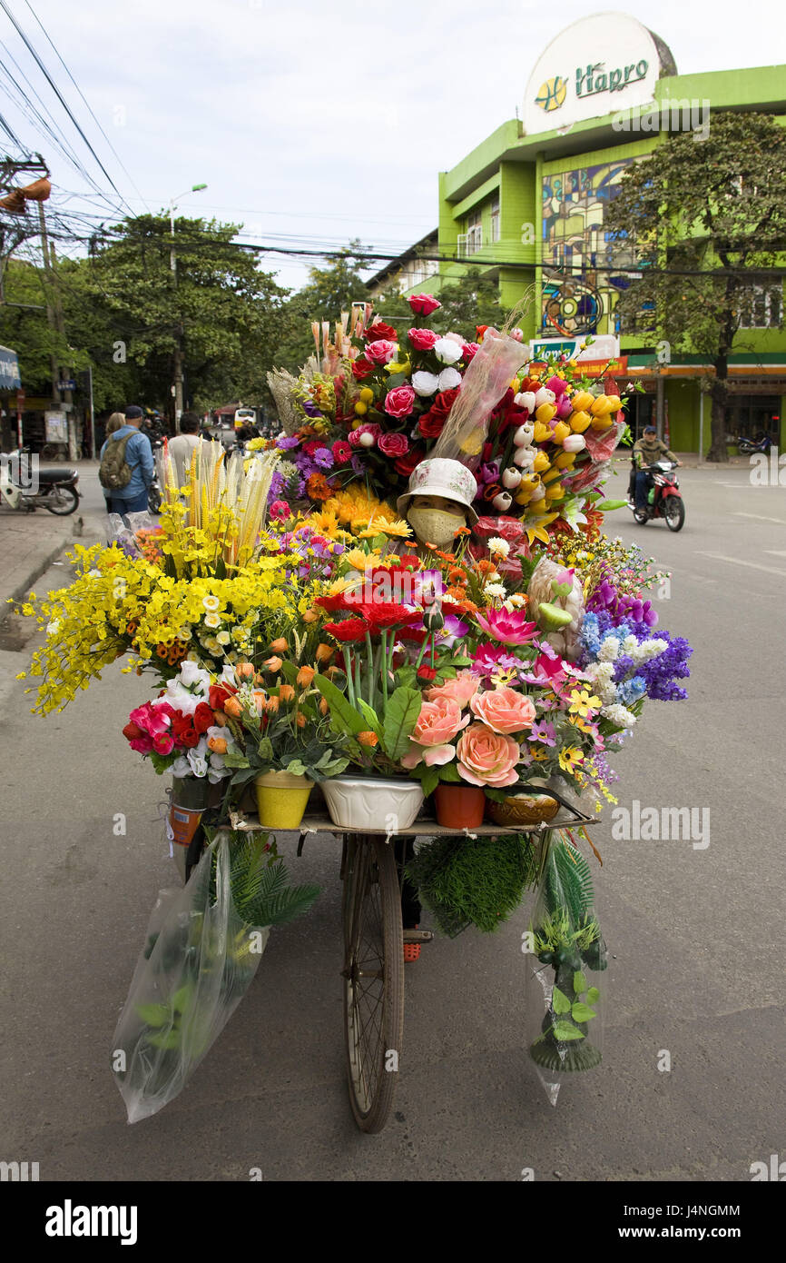 Vietnam, Hanoi, Straßenhändler, Fahrrad, künstliche Blumen, Stockfoto