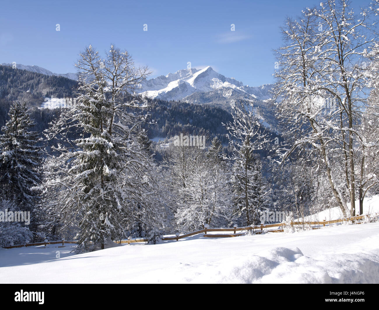 Deutschland, Bayern, Garmisch-Partenkirchen, winter Landschaft, Wettersteingebirge, Himmel, blau, Süd Deutschland, Oberbayern, Werdenfelser, Winter, winterliche, Schnee, Schnee, Bäume, Gebirgsmassiv, Alpen, Berge, Berge, Alpspitze, Waxenstein, Zugspitze, Natur, niemand, Stockfoto