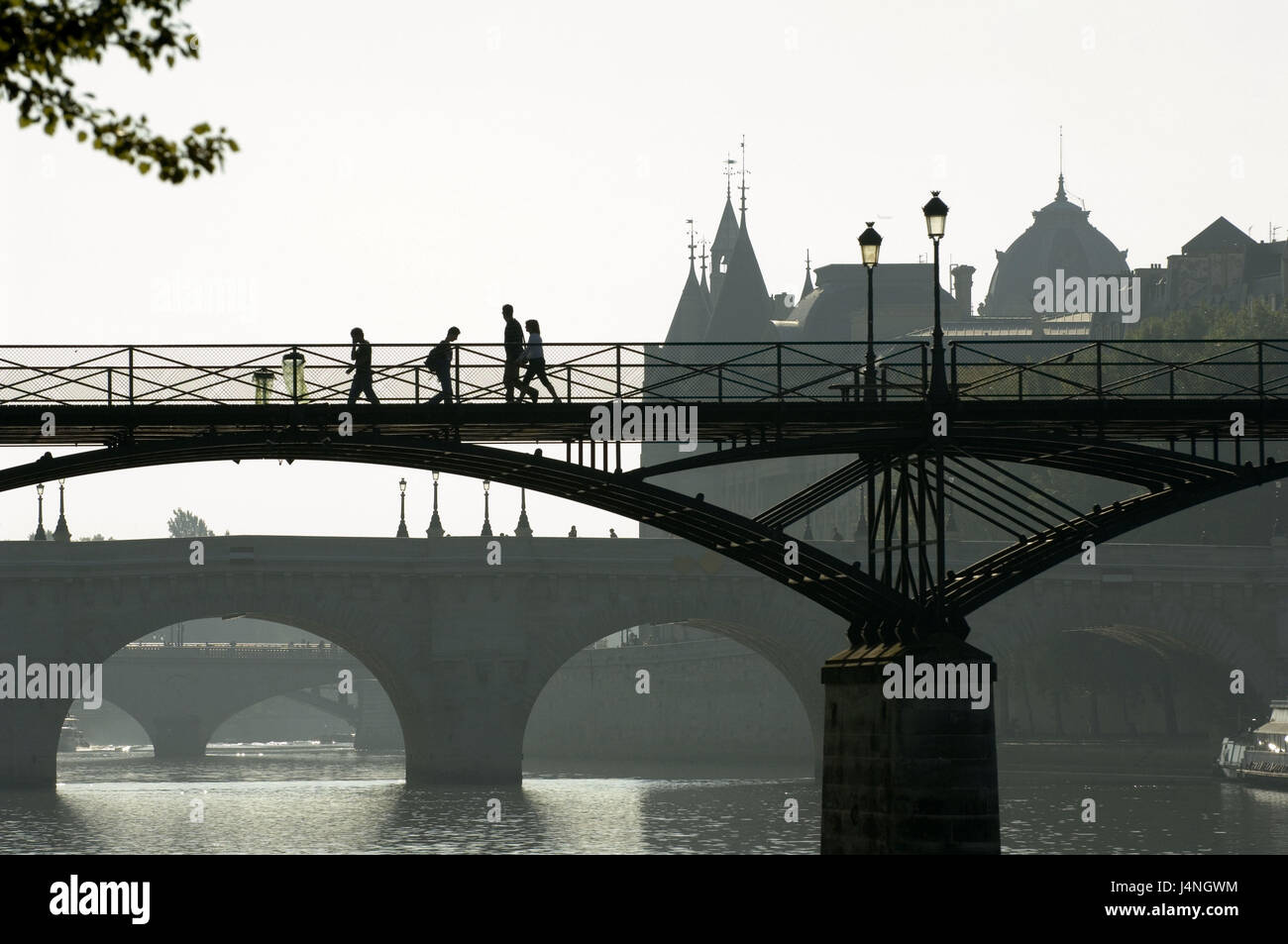 Frankreich, Paris, seine, Pont des Arts, Stockfoto