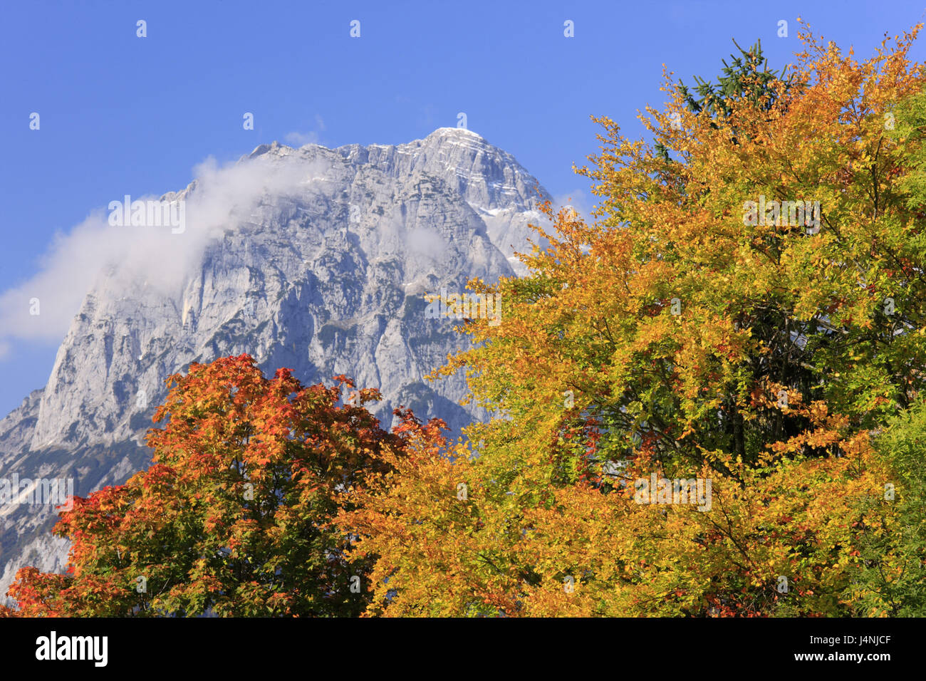 Deutschland, Oberbayern, Berchtesgadener Land, Berchtesgadener Alpen, bluten Alp, Mühlsturzhörner, Herbst, Stockfoto