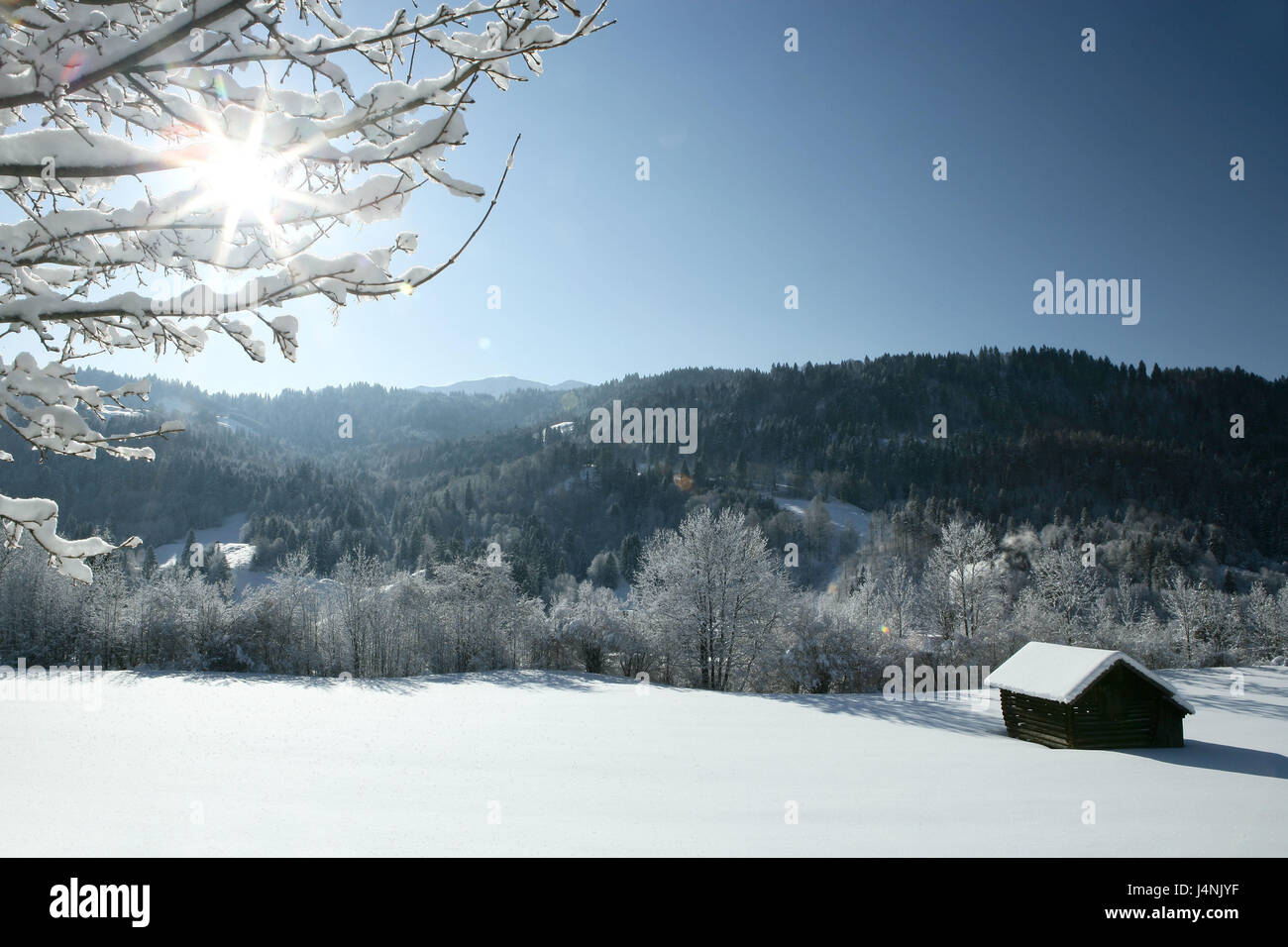 Deutschland, Bayern, Garmisch-Partenkirchen, Winterlandschaft, Stadl, Gegenlicht, Süddeutschland, Oberbayern, Werdenfelser, Holzhütte, Winter, winterliche, mit Schnee bedeckten Holz, Bäume, Zweige, Berge, Natur, Sonne, Sonne, Himmel, blau, Stockfoto