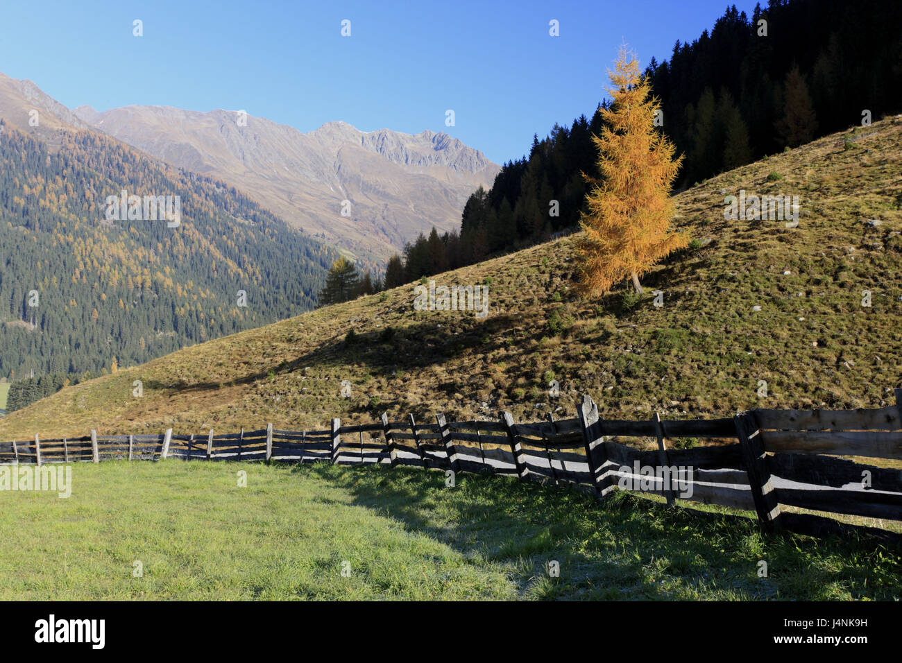 Italien, Südtirol, Gsiesertal, St. Magdalena, Weide, Berglandschaft, Stockfoto