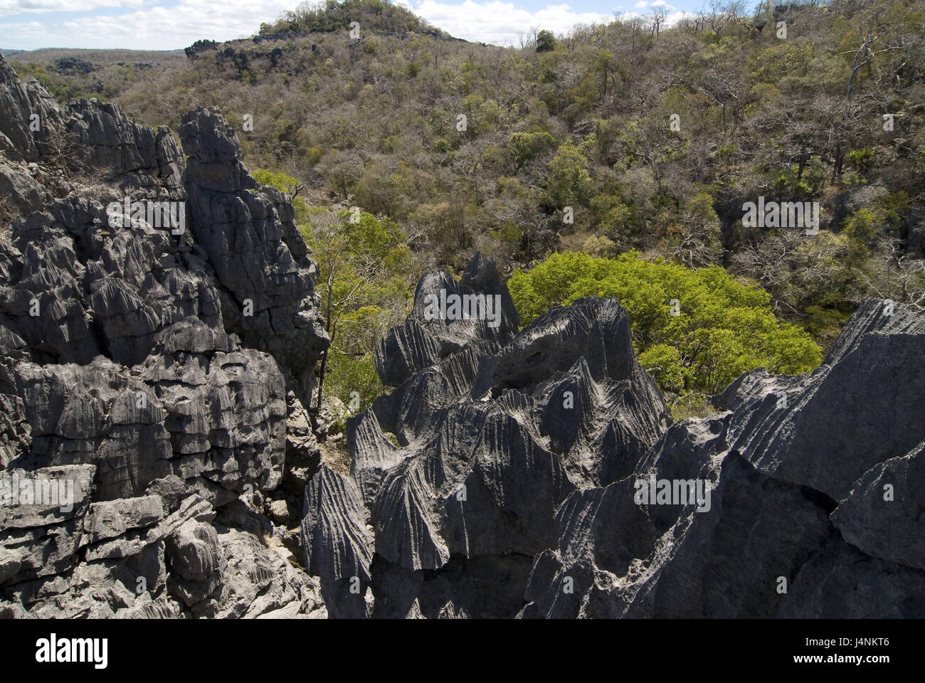 Madagaskar, Ankarana National Park, Tsingys, Galle-Formationen, Stockfoto