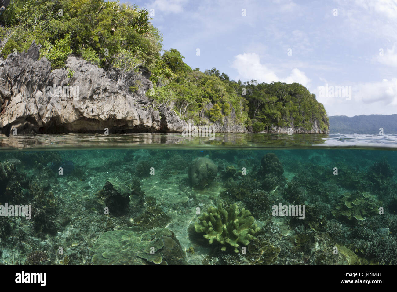Ebene Korallenriff, Raja Ampat, West Papua, Indonesien, Stockfoto