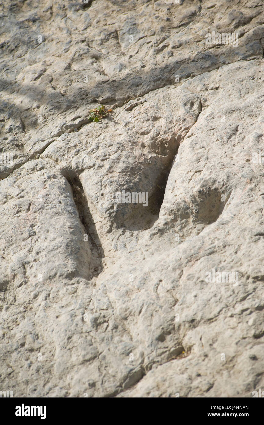Spuren des theropode Dinosaurier. Valdecevillo Ort in der Nähe von ENCISO Dorf, La Rioja, Spanien. Stockfoto