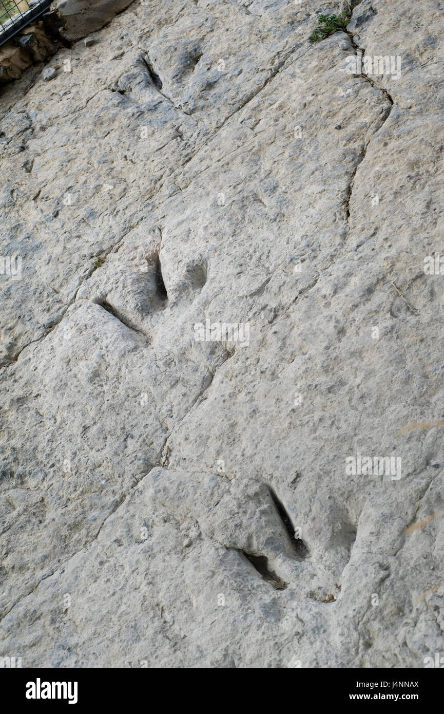 Spuren des theropode Dinosaurier. Valdecevillo Ort in der Nähe von ENCISO Dorf, La Rioja, Spanien. Stockfoto