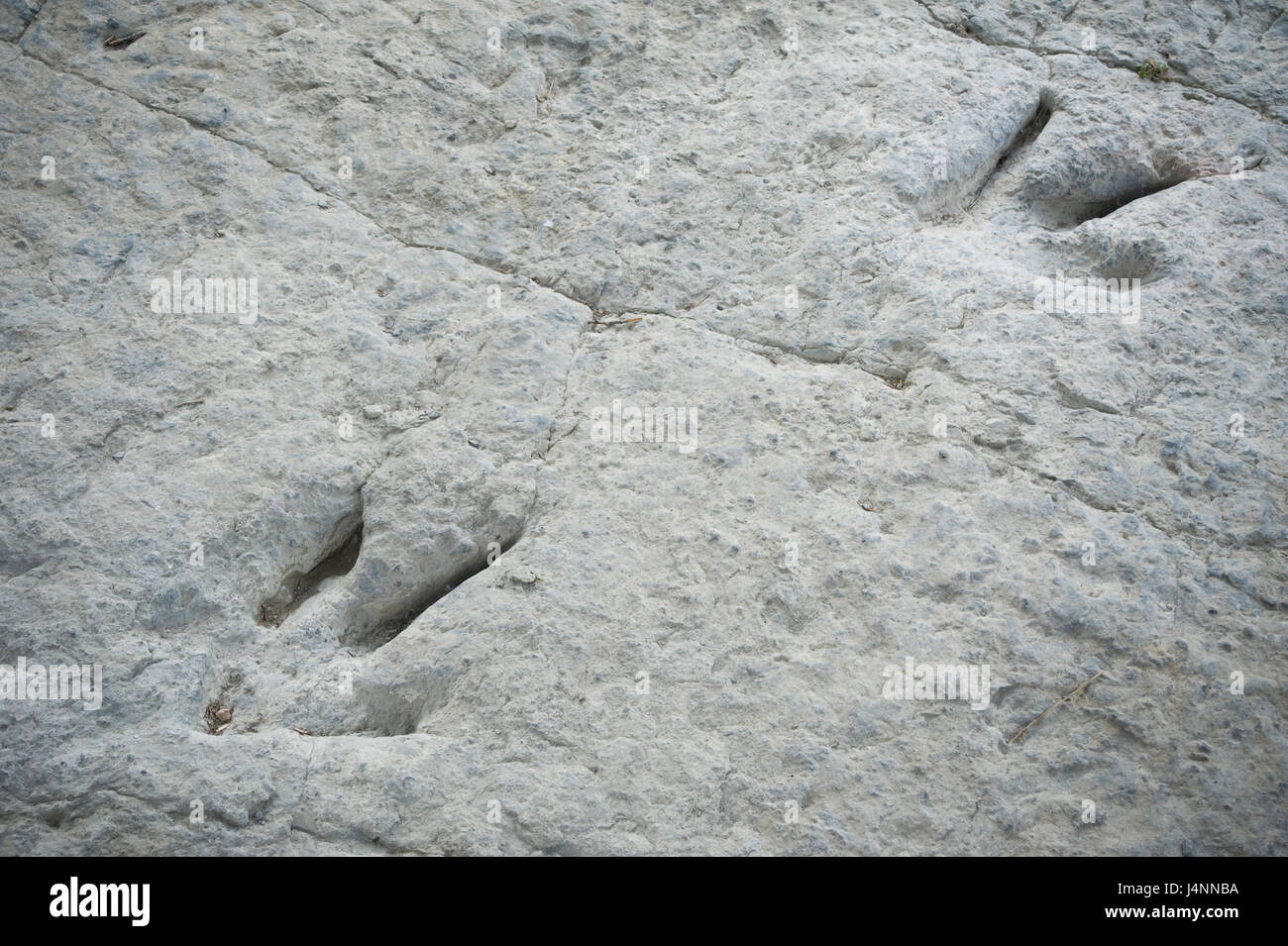 Spuren des theropode Dinosaurier. Valdecevillo Ort in der Nähe von ENCISO Dorf, La Rioja, Spanien. Stockfoto