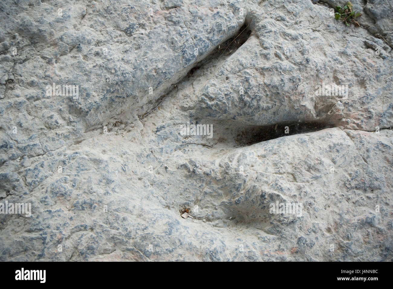 Spuren des theropode Dinosaurier. Valdecevillo Ort in der Nähe von ENCISO Dorf, La Rioja, Spanien. Stockfoto