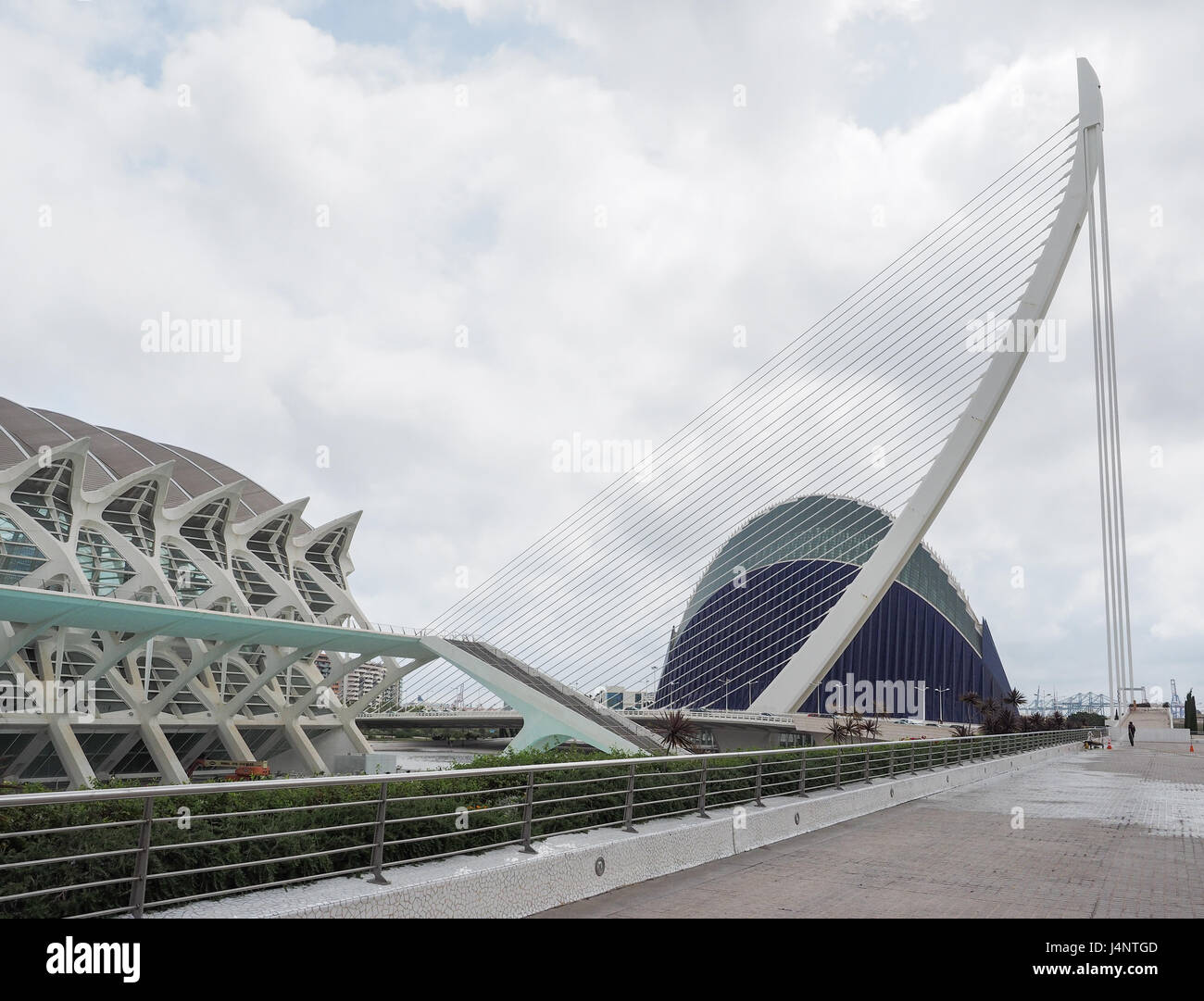 einen Überblick über die Agora Calatrava Architektur Prinz Filipe Science Museum an der kulturellen Zentrum Stadt der Künste und Wissenschaften in Valencia, Spanien Stockfoto