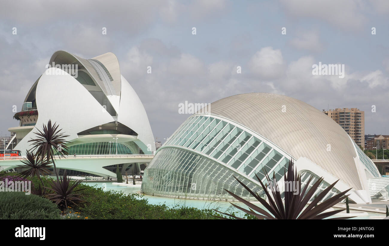 eine Calatrava Architektur Königin Sofia Palast der Künste an der kulturellen Zentrum City of Arts and Science in Valencia, Spanien Stockfoto