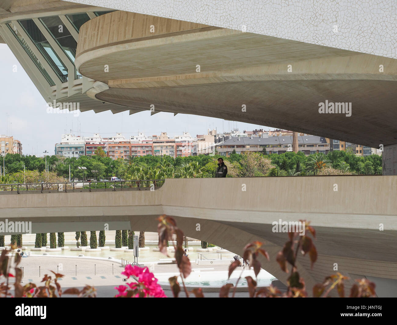 eine Calatrava Architektur Königin Sofia Palast der Künste an der kulturellen Zentrum City of Arts and Science in Valencia, Spanien Stockfoto