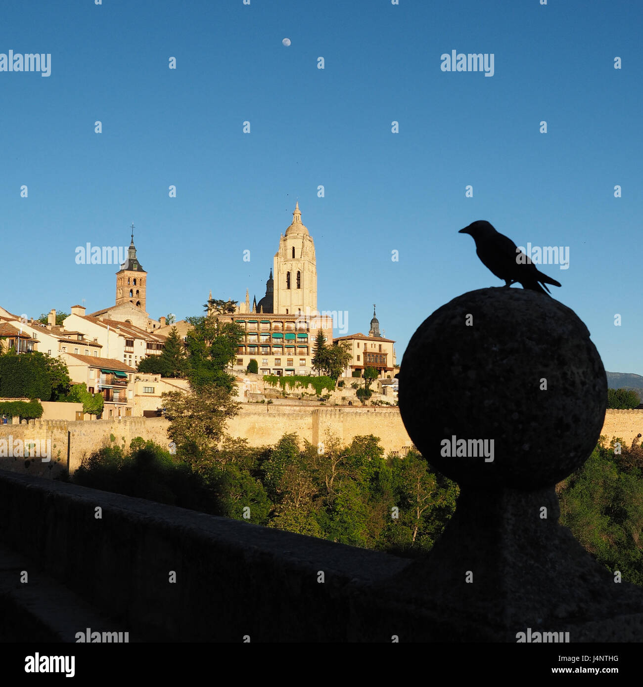 Ein Blick auf die Kathedrale Santa Maria Kathedrale Segovia mit Mond und Profil der ständigen Vogel Silhouette im Vordergrund, Spanien Stockfoto
