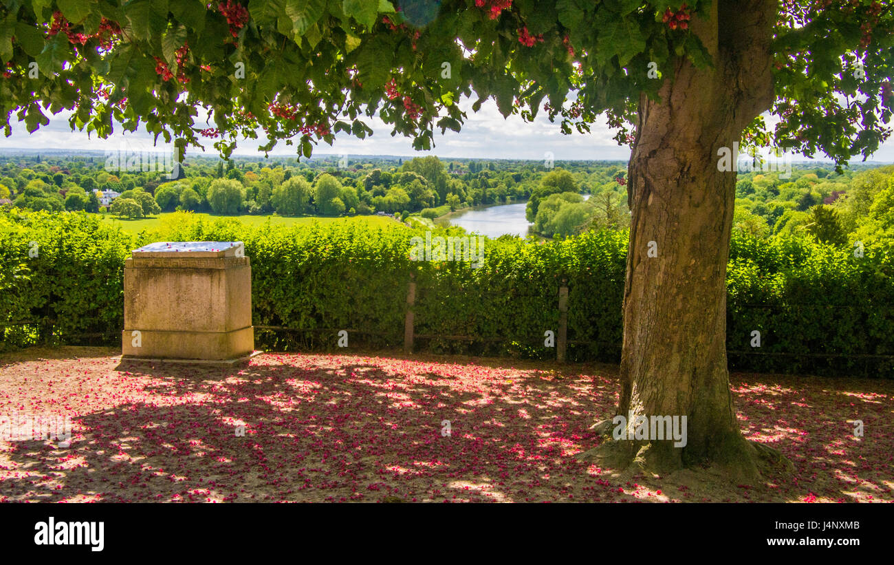 Mit Blick auf die Themse, Richmond Hill, London. Stockfoto