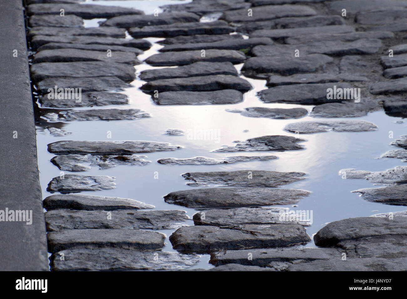 Eine reflektierende Kopfsteinpflaster Pfütze auf River Street entlang der berühmten Riverwalk in Savannah, Georgia Stockfoto